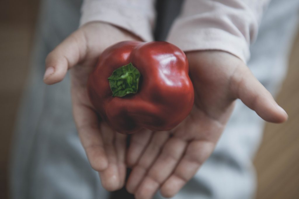 Röd paprika i små händer